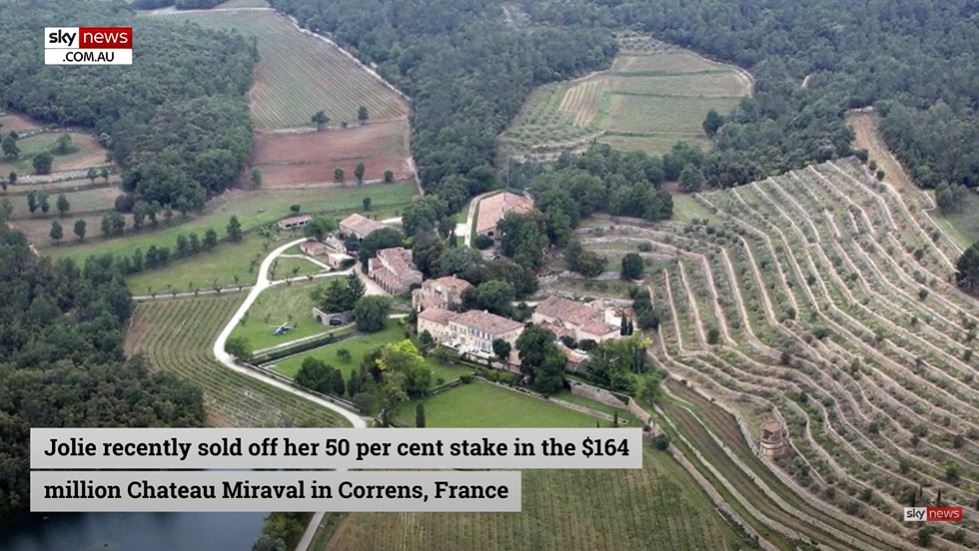 畢彼特不滿前妻損害其經營多年嘅酒莊品牌。