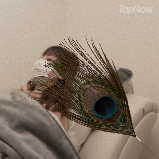 放空耳療利用不同工具幫客人放鬆