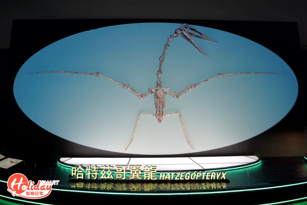 另一焦點哈特茲哥翼龍則是歷來最大型的翼龍，亦是全球首隻以科學方法重建而成，更特別利用多媒體投射裝置，將哈特茲哥翼龍的神態完美還原，其化石真品則置於展櫃內展示。