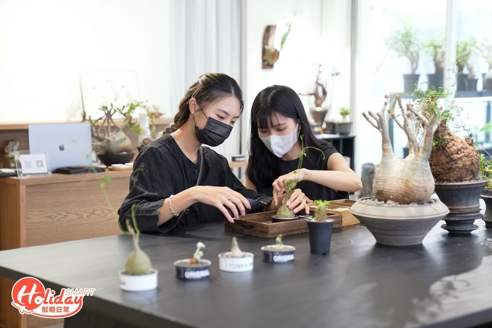 小店更首次聯乘芝士蛋糕品牌 @Ch.eese dept，推出首個以「食物＋植物」概念為主題的工作坊，將非洲塊根植物聯乘鋁罐包裝芝士蛋糕，推動環保重用的概念，先品嚐芝士蛋糕，後將芝士蛋糕的鋁罐包裝重用，並把非洲塊根植物種植到鋁罐包裝內，體驗栽種植物的樂趣。