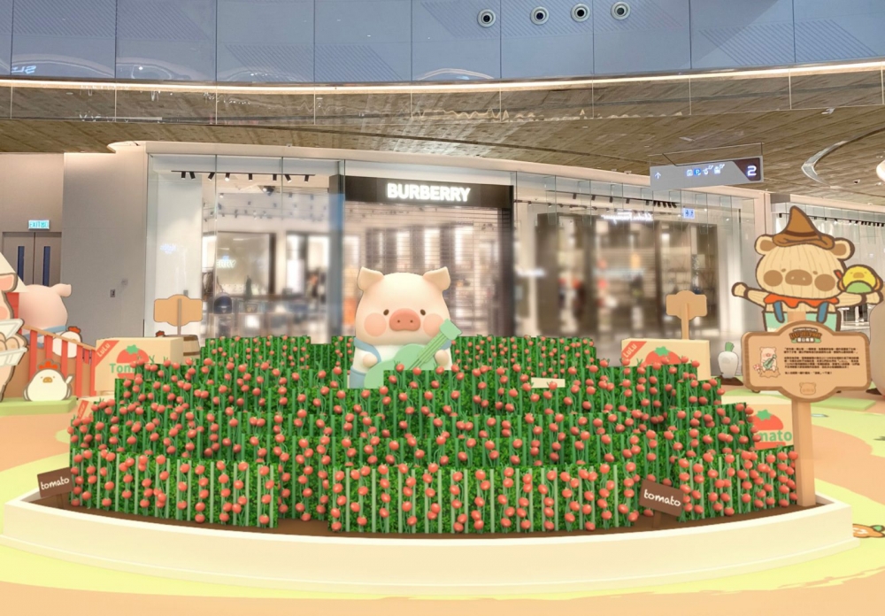 花漾音樂蕃茄田園。