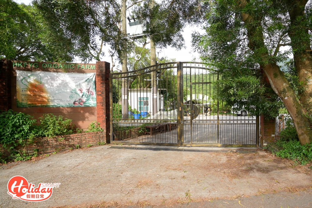 由河背村去河背水塘的全程是石屎路，兩側幾乎由樹蔭覆蓋，所以不用怕會暴曬，中途會見到香港青年協會有機農莊，撞正公眾開放時段更可入內參觀，農莊售賣有機菜和鮮榨果汁，可當作中途站稍作休息補給。