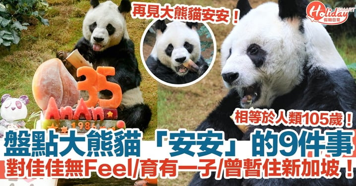 【大熊貓安安離世】盤點大熊貓「安安」的9件事！對佳佳無Feel/育有一子/曾暫住新加坡！