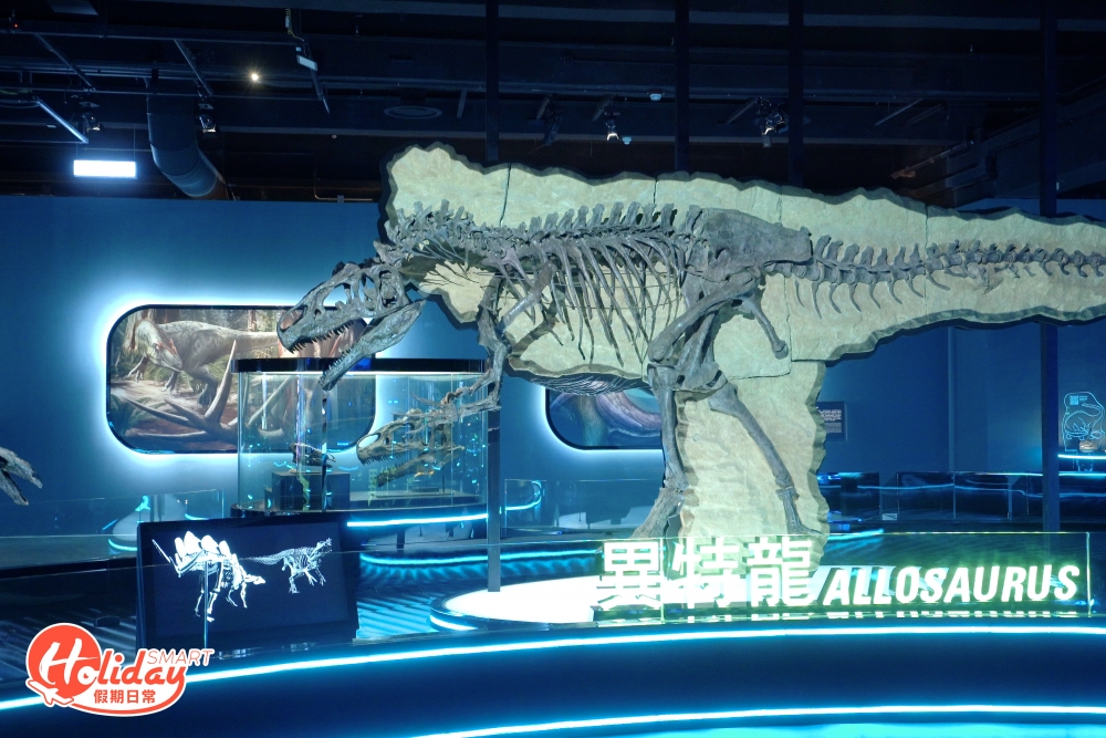 8組化石標本中，其中5組恐龍的骨架，分別是三角龍、異特龍、西龍、梁龍和暴龍均是以化石真品和重構骨骼組裝而成，而異特龍是歷來出土最完整的化石，骨架標本的完整度是達到百分之99。