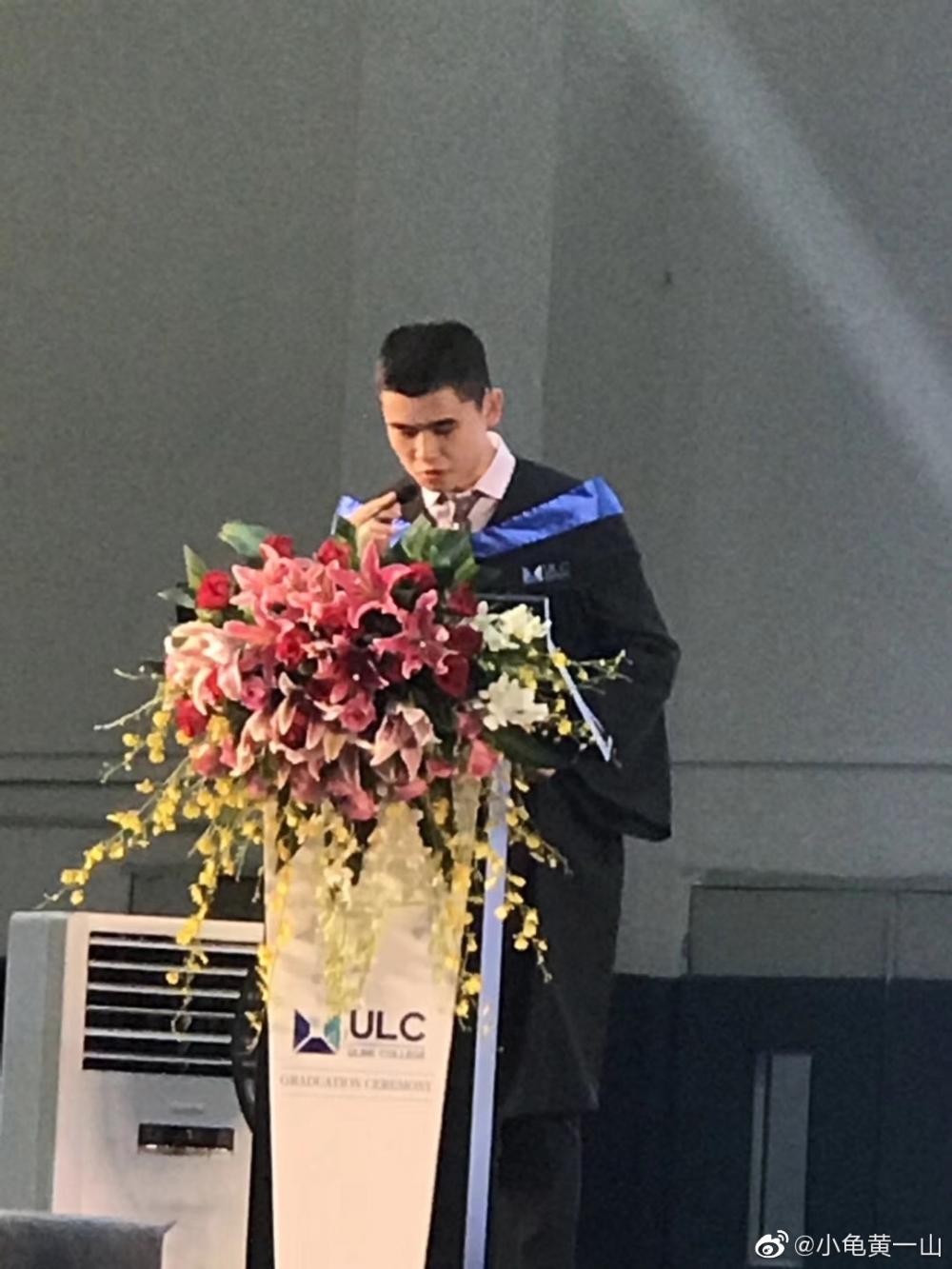 據細龜所講細仔喺倫敦大學學院畢業