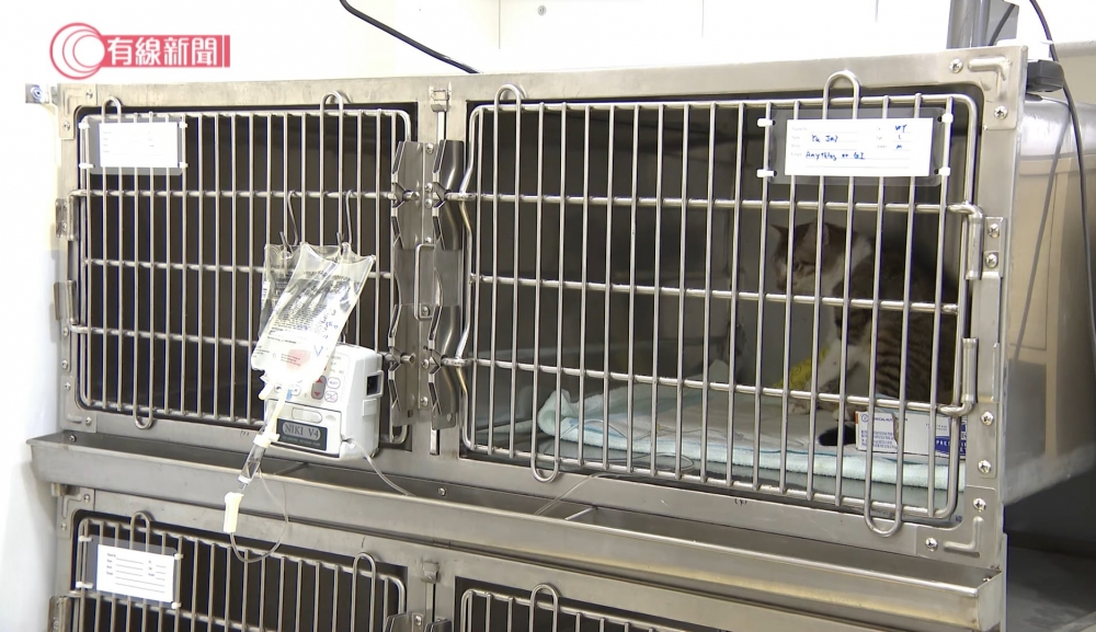 診所還有多個貓狗留院籠~