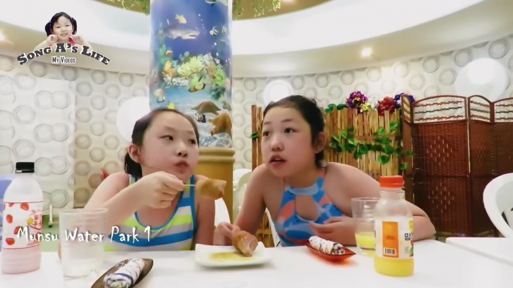 松雅能夠講流利外語,加上高質素嘅生活,有外國傳媒估計佢背景唔簡單。