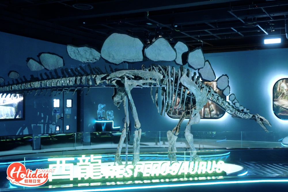 當中最稀有就是源於侏羅紀晚期，即是1.5億年前的北美洲西龍化石，屬劍龍類恐龍的近親，亦是首隻保存良好皮膚印痕的西龍，肋骨可見蜂巢狀的皮膚紋理 ，是非常罕見且珍稀。