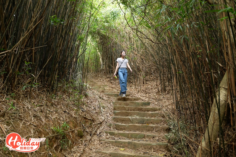 以竹林作背景拍照，可以裝作去了趟日本旅行，穿過竹林下的長樓梯都是一大打卡位，不過如果想避開人群專程來打卡建議平日到訪會較好。