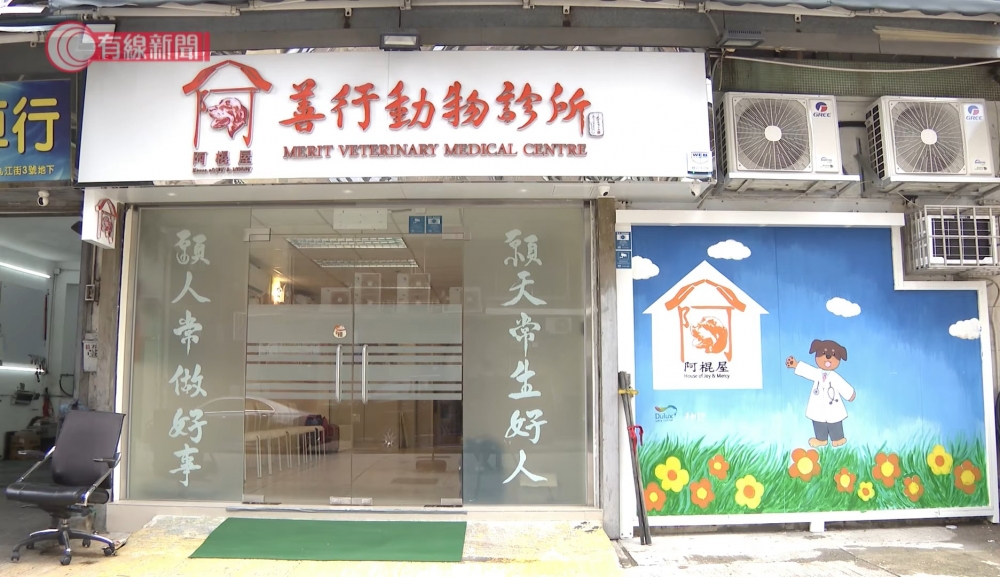 動物收容中心「阿棍屋」開設全港首間專為流浪動物設立的「阿棍屋善行動物診所」！