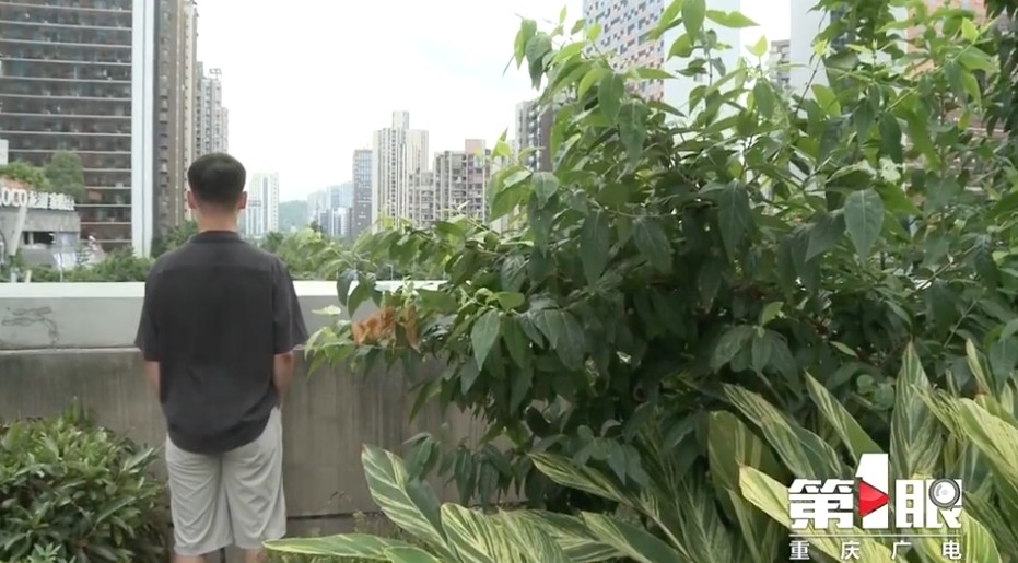 許明偉職業係高校老師，平時講授電腦軟件課程，月薪有5,000～6,000元人民幣