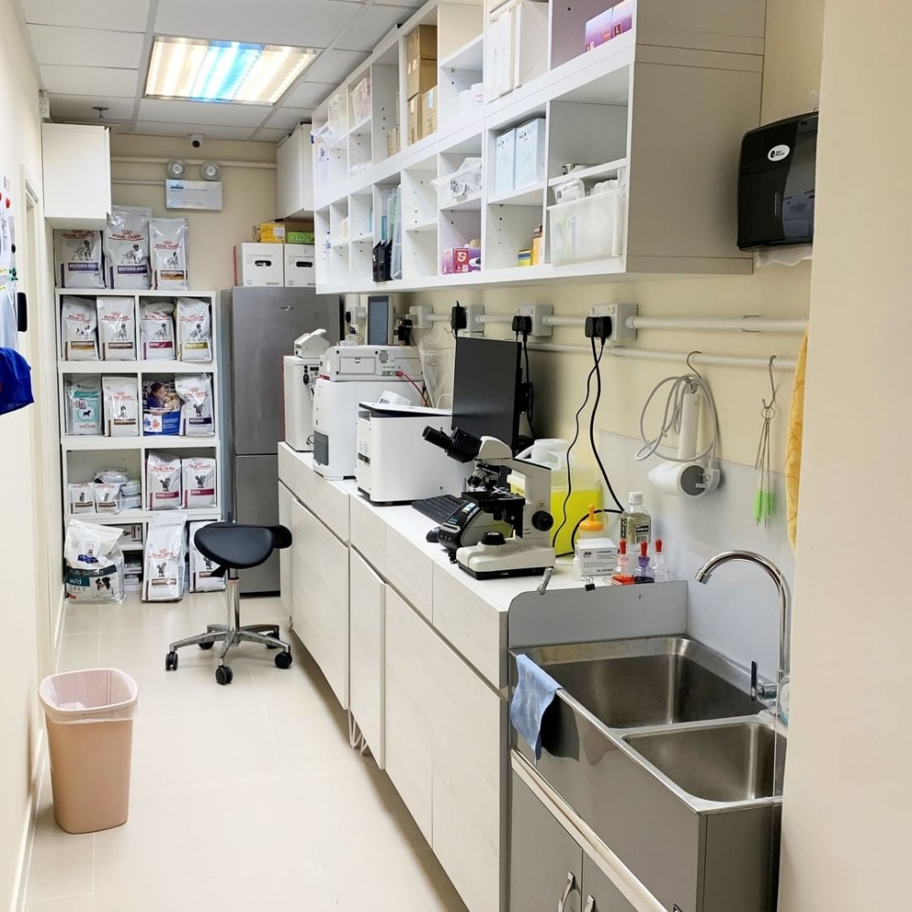 「阿棍屋善行動物診所」準備了基本的動物醫療儀器及設施。