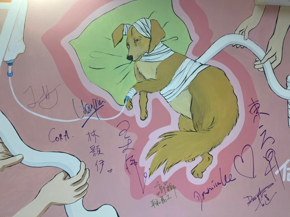 診所主要為無家浪浪、倉貓倉狗、鄉郊放養貓狗、已申請合法在公屋飼養的陪伴動物、露宿者所養的動物、主人有經濟困難或特殊情況的動物提供醫療服務~