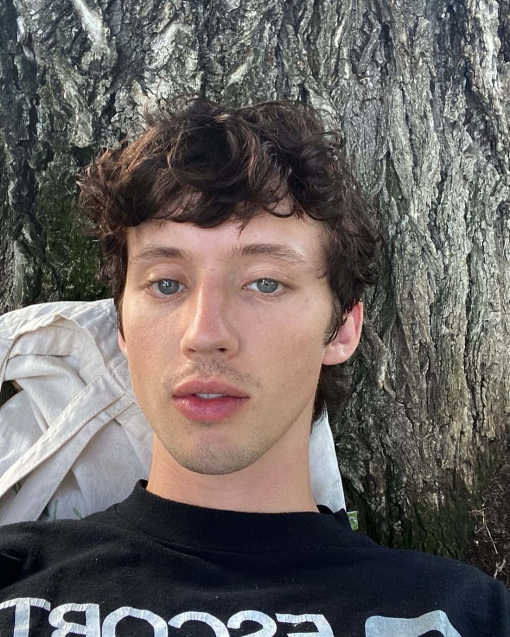 澳洲創作歌手兼演員Troye Sivan。