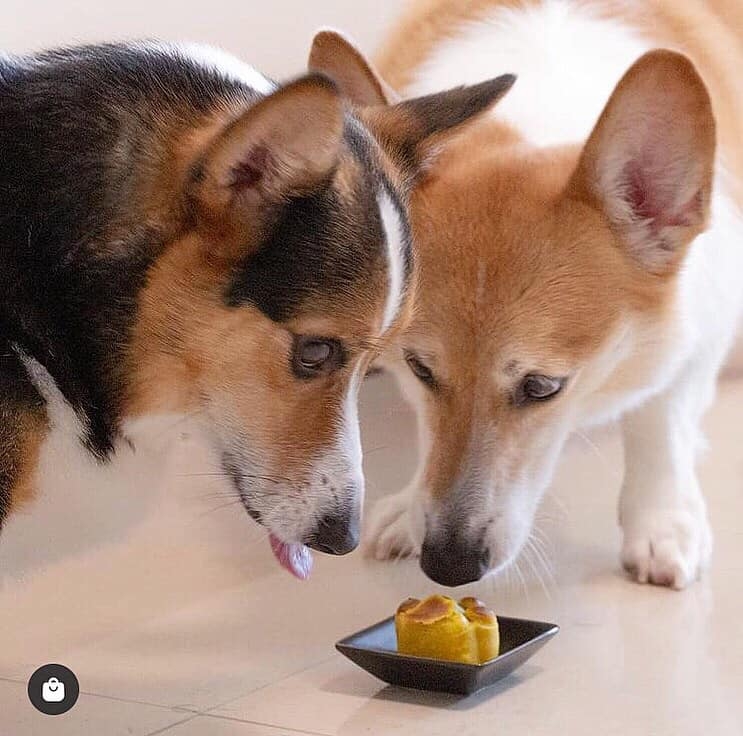 雞蓉螺旋藻寵物月餅選用無激素雞，健康益脾！