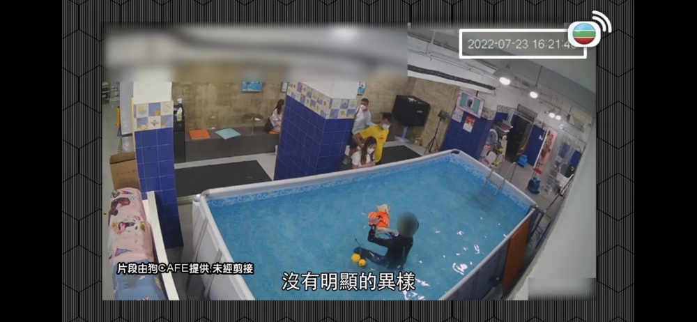 期間狗狗似乎冇異樣