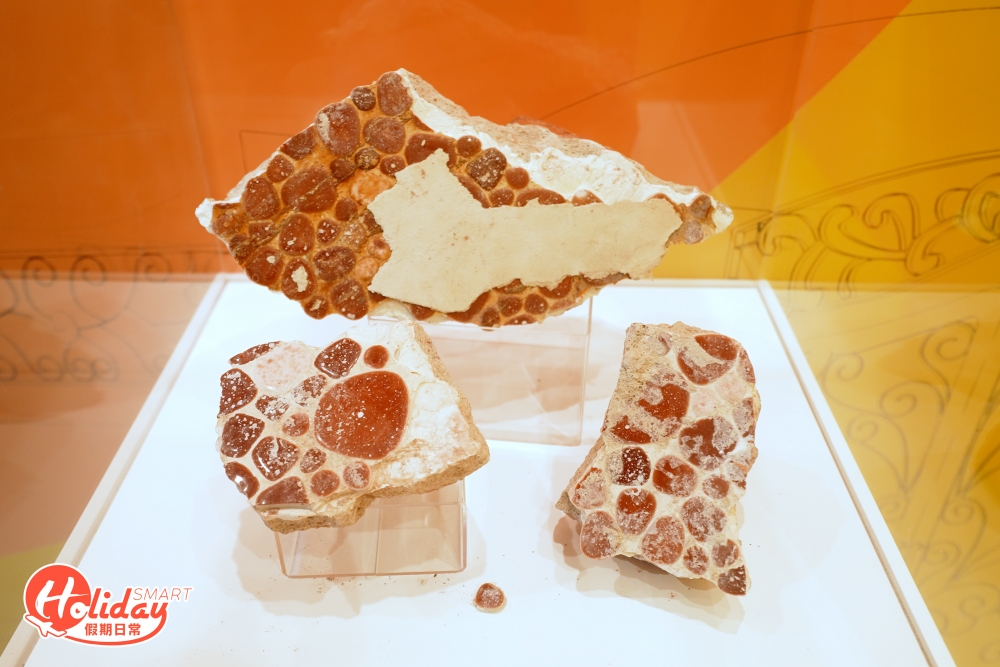 現場更會展示原址磚瓦和舊照等，而這些磚瓦碎片均是李小龍會代表-黃耀強先生的收藏。