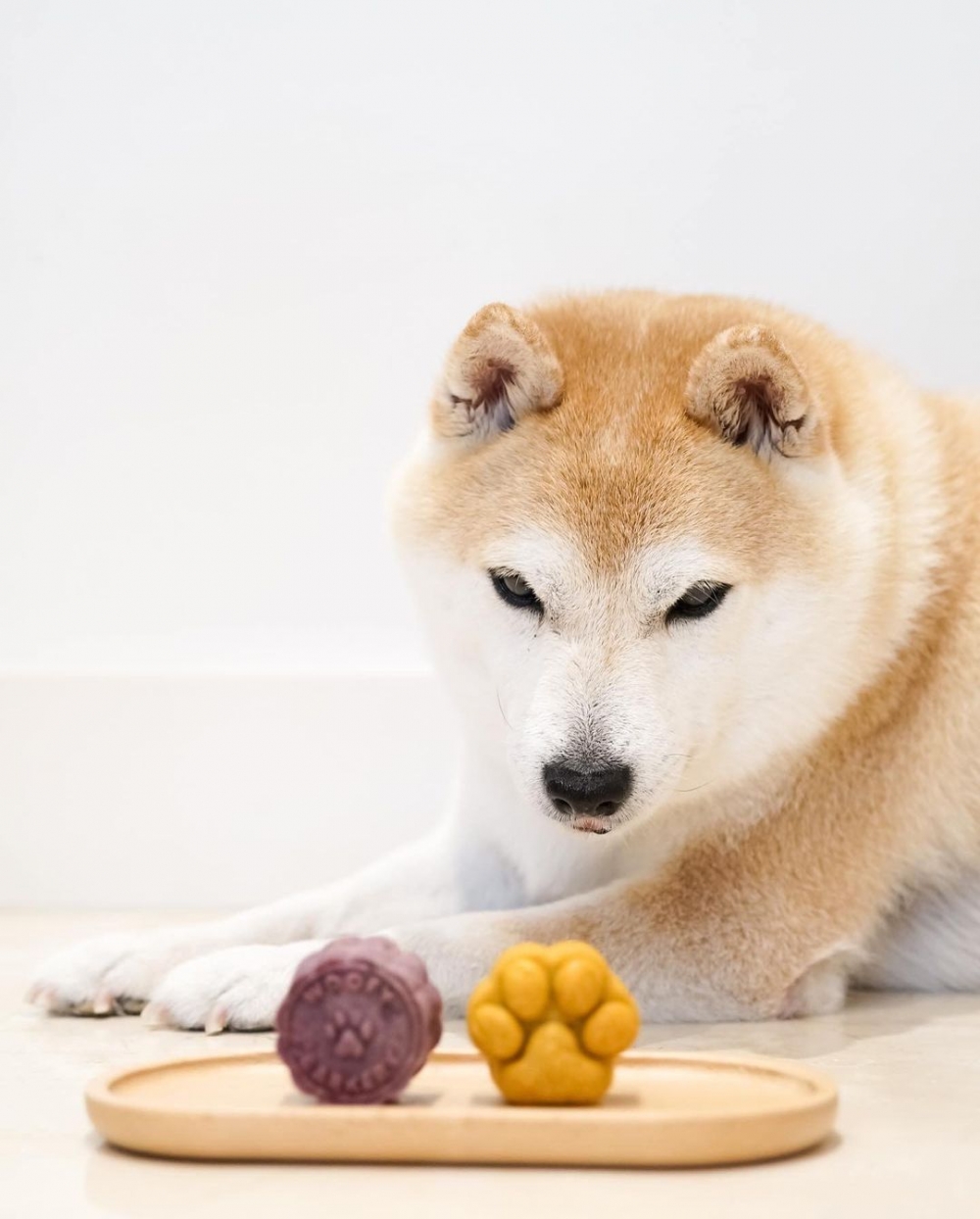 購買Woofy Barkery的寵物月餅，當中的10%收益會捐贈至不同的保護動物機構。