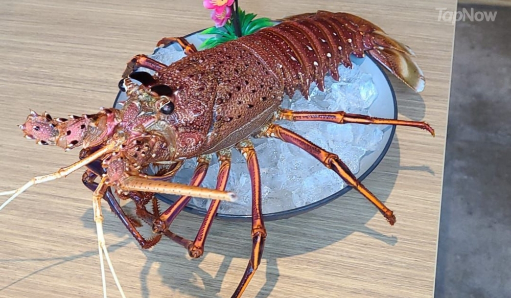 西澳龍蝦