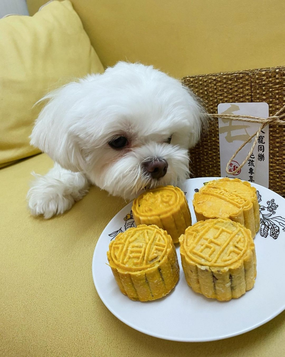 月餅中蛋黃用花膠來取代！