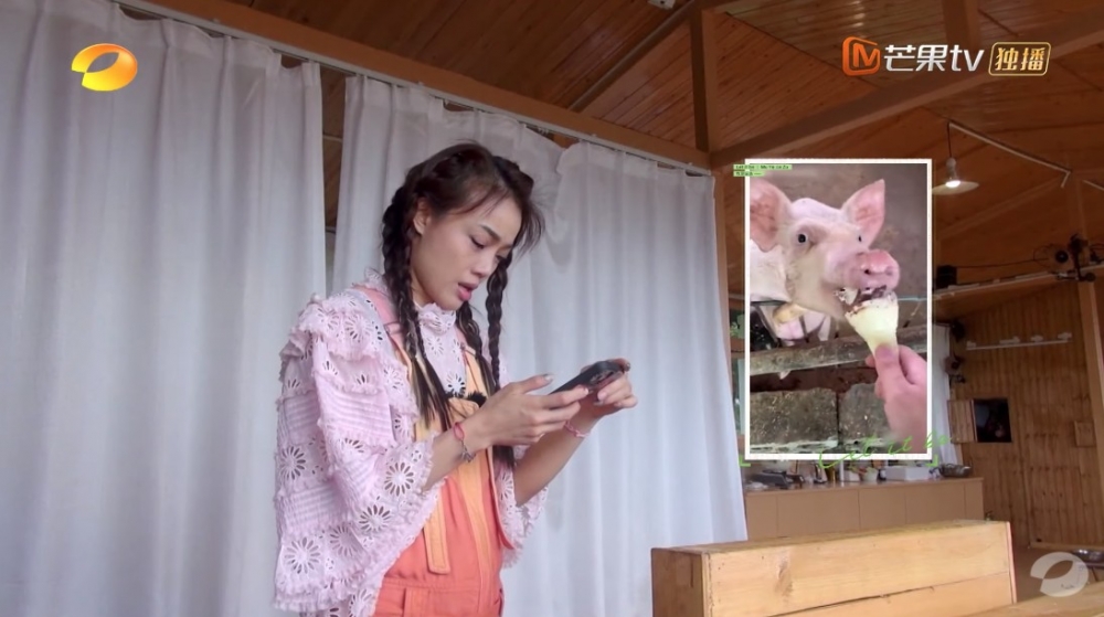 Joey就開始為豬福炮製美食,佢先係上網搵豬鍾意食咩,了解養豬知識。