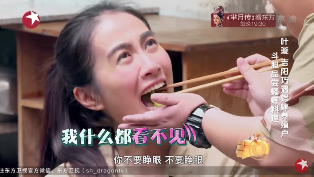 葉璇要食蟋蟀