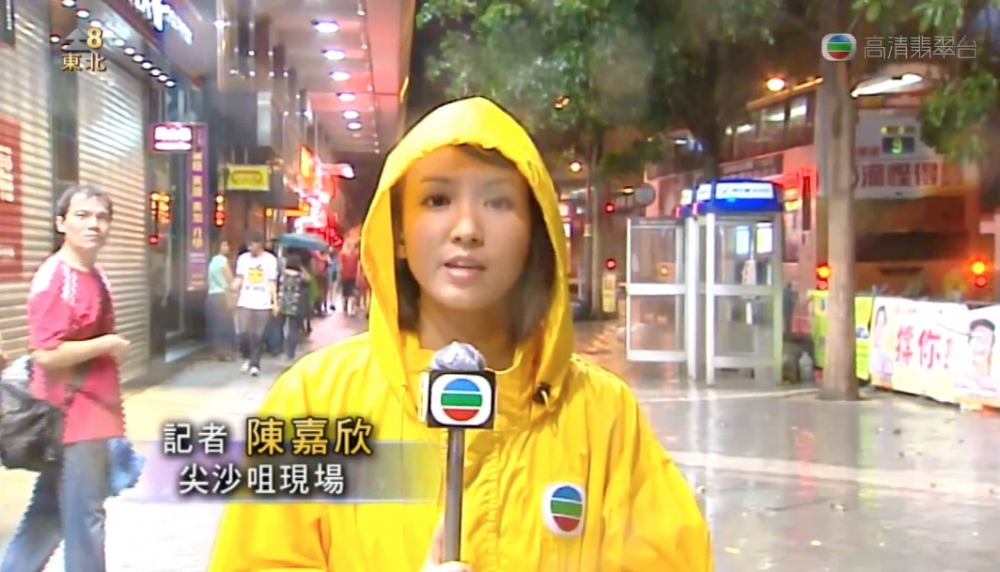 陳嘉欣2005年於香港大學商學院畢業,畢業後佢曾經任職娛樂新聞記者,直到2011年佢入職TVB新聞部做港聞記者