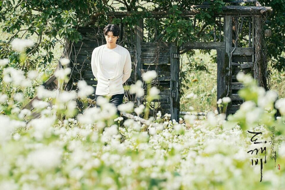 屋內植物太茂盛都會引來「朋友仔」