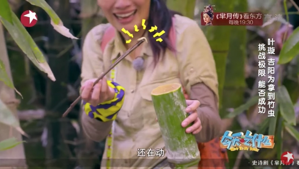見到活生生蠕動嘅竹蟲,葉璇都非常害怕