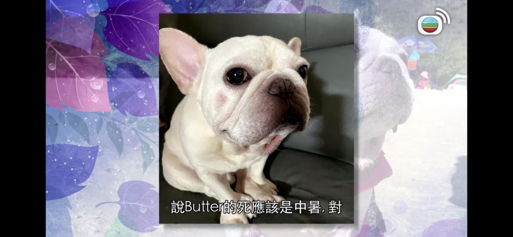 交代當時Butter離開嘅原因係中暑!