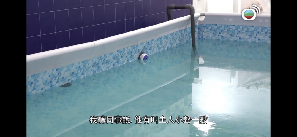 但由於主人發出比較大嘅聲音,令狗狗變得緊張,所以導師有要求對方將聲量降低