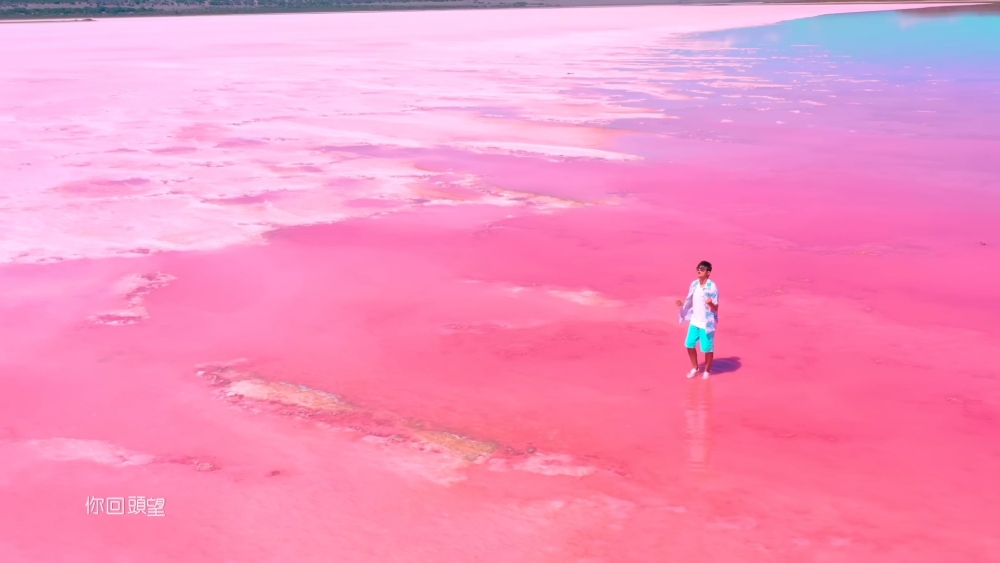 粉色海洋MV