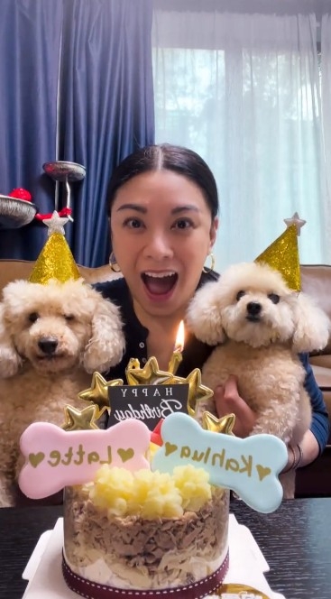 廖碧兒現時將愛犬們當作自己嘅小朋友一樣～