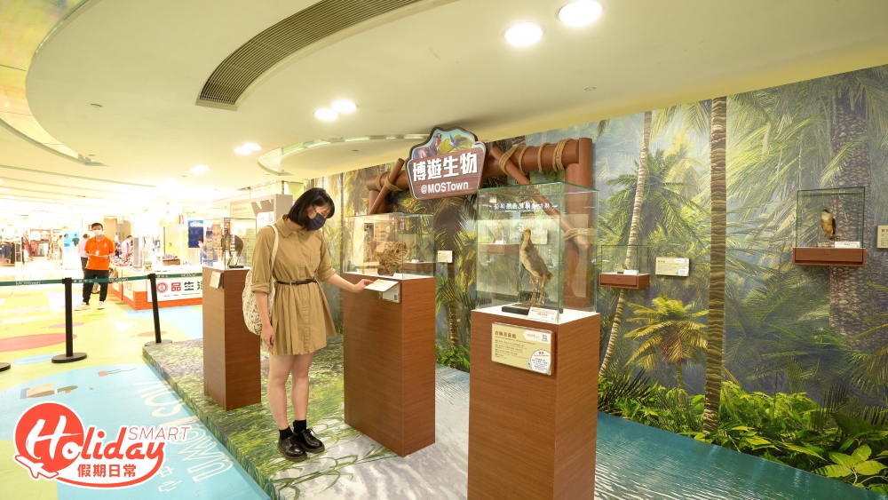 除了打卡外,今次更特別與香港生物多樣性博物館合作,展出8種熱帶及亞熱帶雨林的珍貴動物標本。