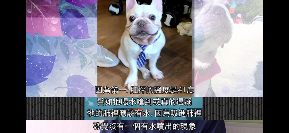負責人表示係中暑全因1.探熱後溫度為41度、2.肺部未有發現進水