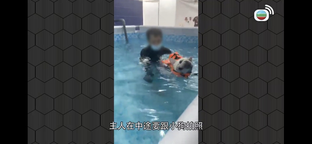 當時陳小姐亦有攞電話為Butter拍攝游水影片