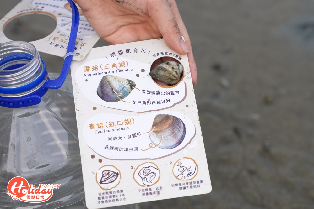 摸蜆之前要知道摸蜆的規則，在膠筒上有2塊卡板和指示，介紹不同蜆的類別之名，卡板會有2個大小不一的洞去量度蜆的大小是否可以帶走。