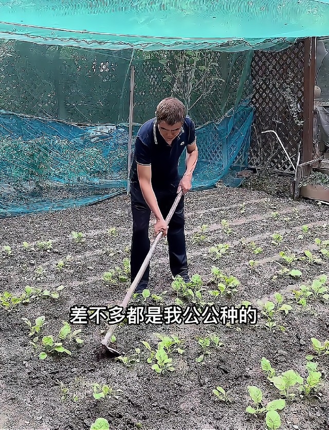 老爺就負責喺花園種菜，佢指全家一年四季食嘅蔬菜差唔唔多都係佢老爺種嘅