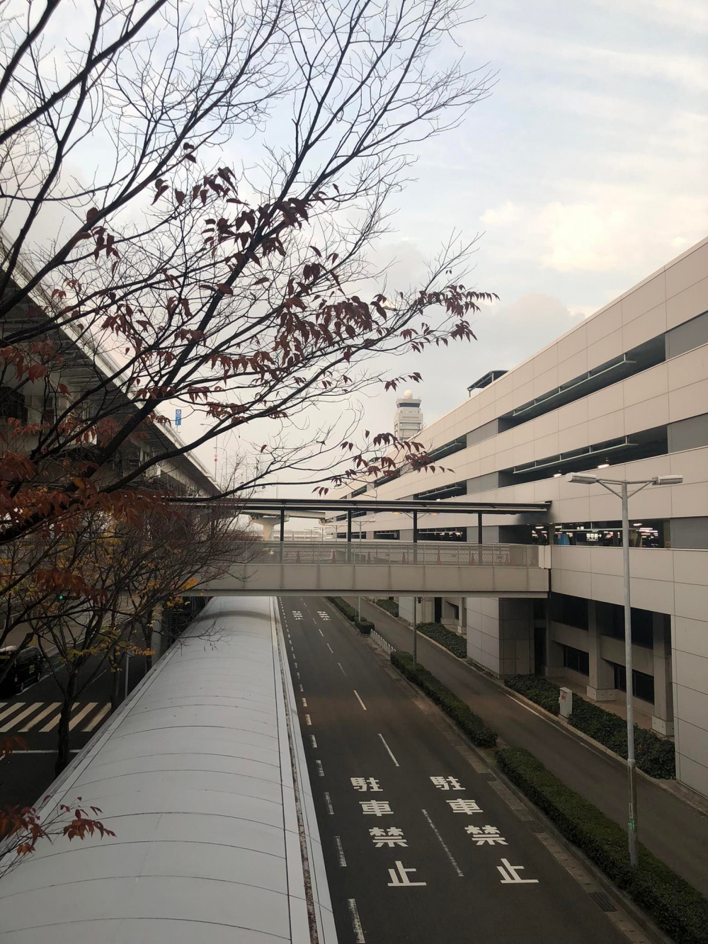 香港被日本納入最低風險級別「藍」名單,所以不論有否打齊3針,入境日本後都無須進行檢測及隔離。