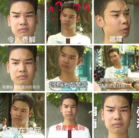 佢條眉毛亦被稱為「喜感眉」，而佢受訪嘅片段被整成Stickers