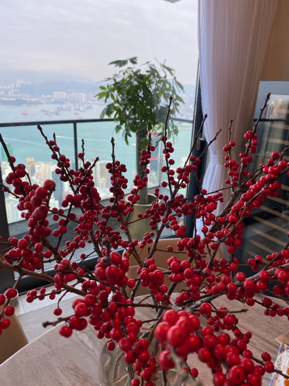 豪宅露台可以望到維港海景，屋內裝修、擺設亦十分有氣派。