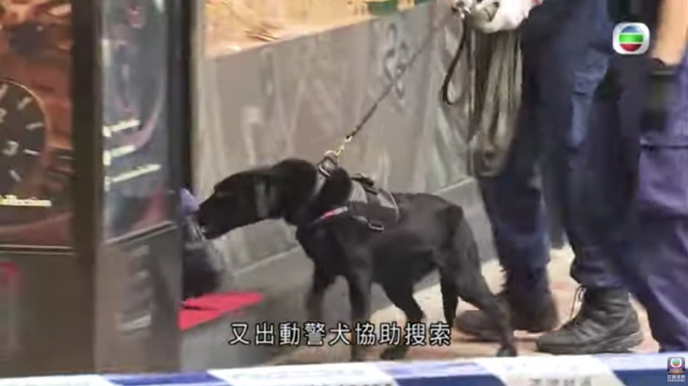 事發後警方到場調查,並出動警犬