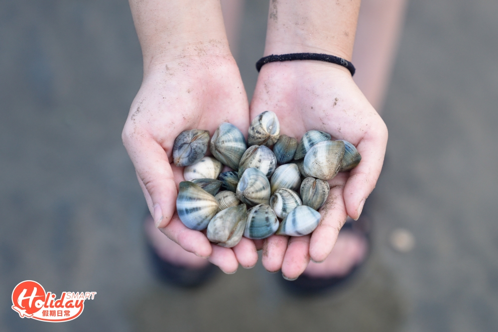 除了行山郊遊之外，摸蜆都是適合一家大小或情侶的活動！今次介紹摸蜆泥灘之一的水口沙灘，屬最多蜆的數量和最容易有收獲的泥灘。