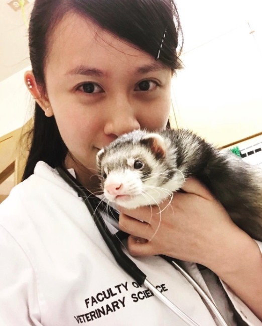 梁菁琳入行前曾於新加坡擔任獸醫。
