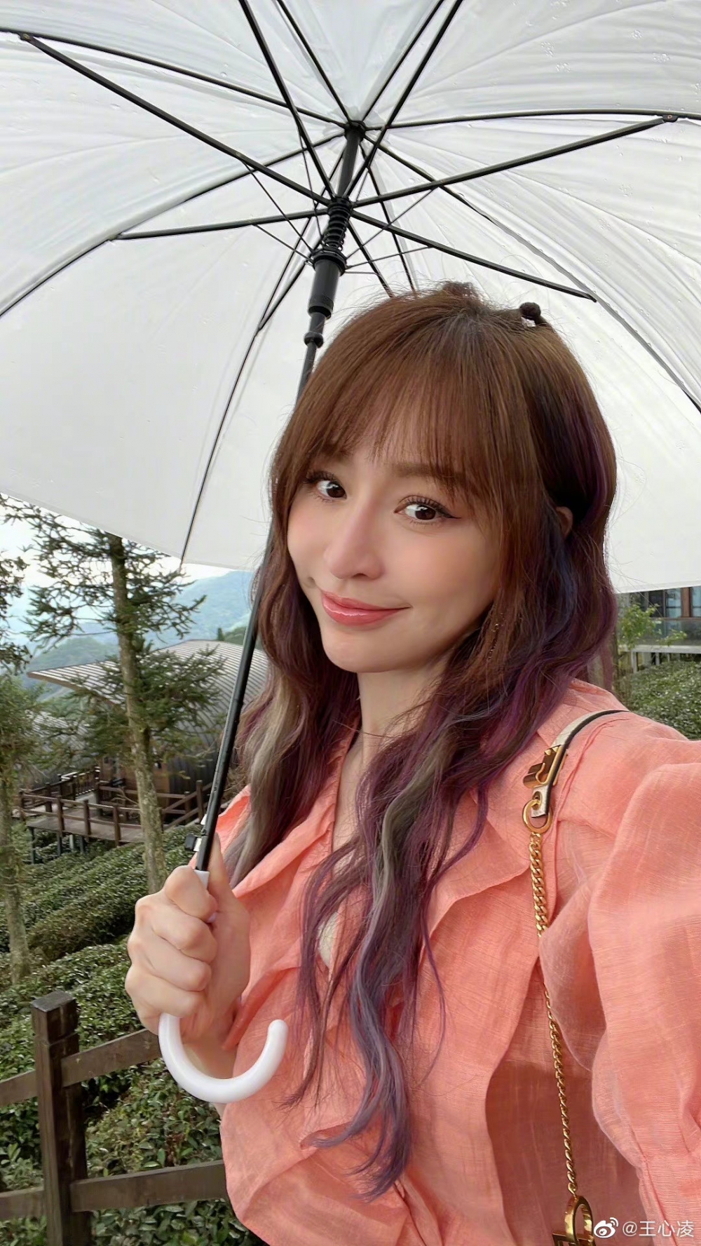 有網友提出《星星的約定》常駐嘉賓之一嘅王心凌近日飛返台灣之後就無再更新過微博