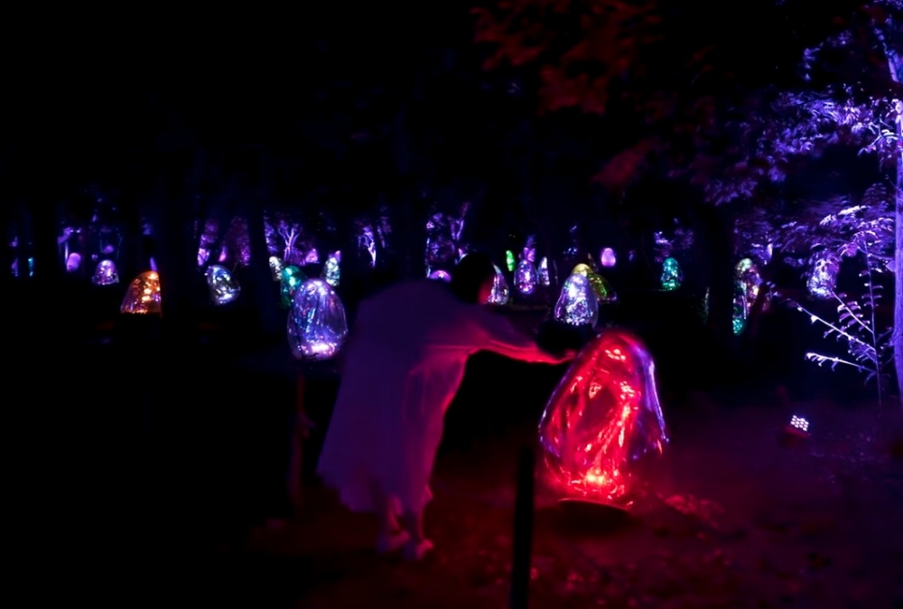 teamLab 官網
