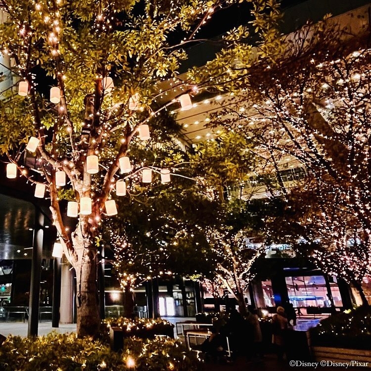 94棵樹誕掛咗33萬枚香檳金LED燈