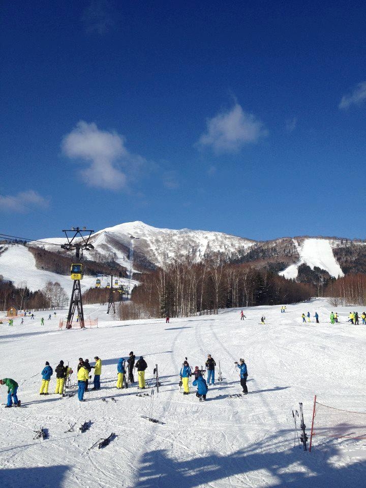 場內佔地面積大，足足有逾20條滑雪跑道，適合唔同程度嘅滑雪者