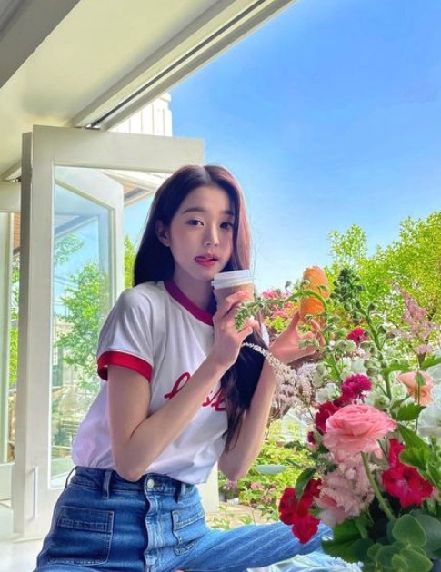 好少部分嘅內地粉絲留言力撐張員瑛。