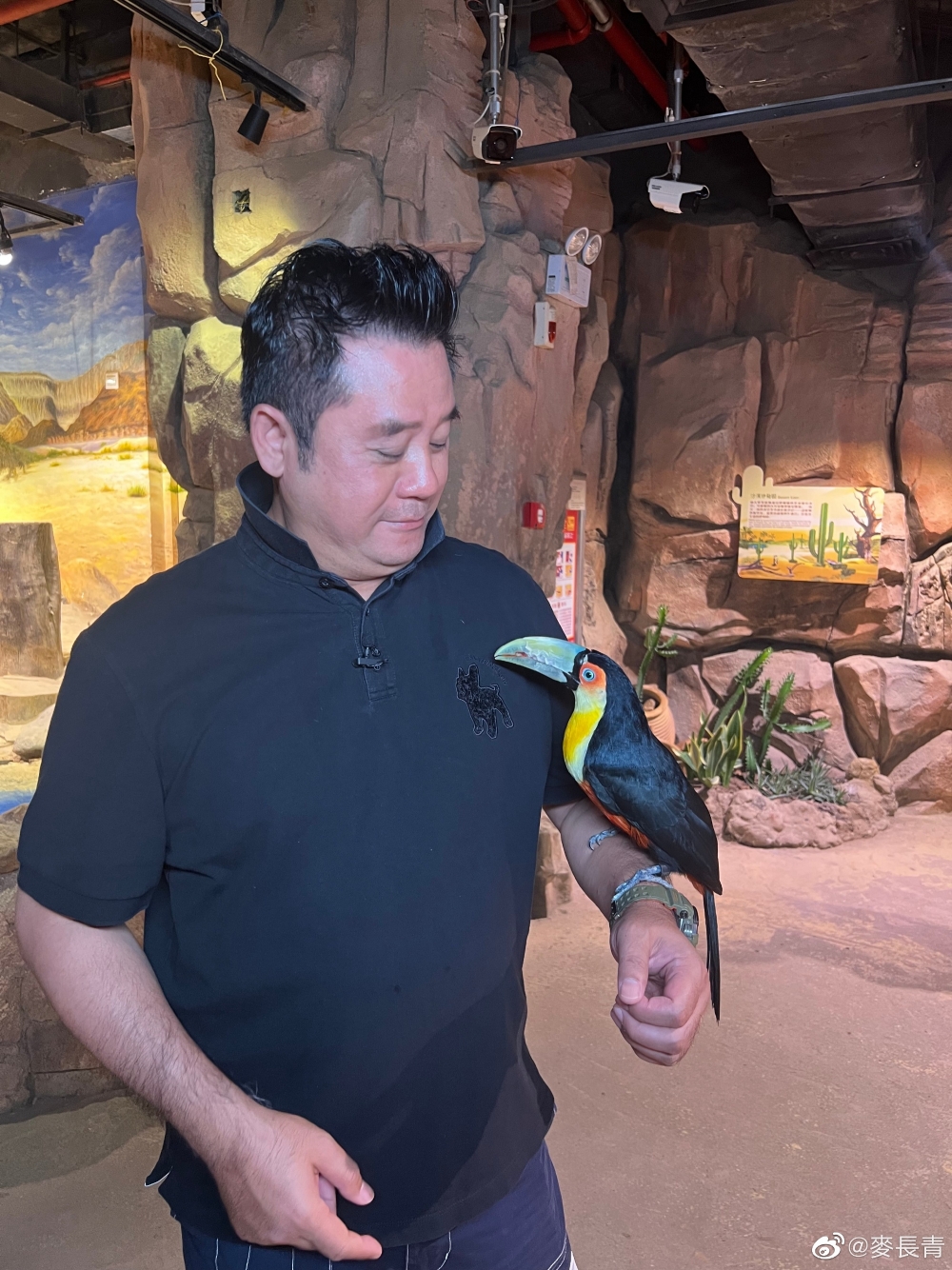 麥長青近日擔任MyTV Super節目《一條麻甩在廣州》主持人兼監製!